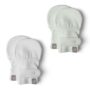 Goumi Mitts 2-Pack - Succulent + Desert Mist (0-6 Months)
